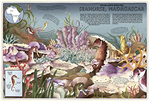 Atlas of Ocean Adventures: A Collection of Natural Wonders, Marine Marvels and Undersea Antics from Across the Globe