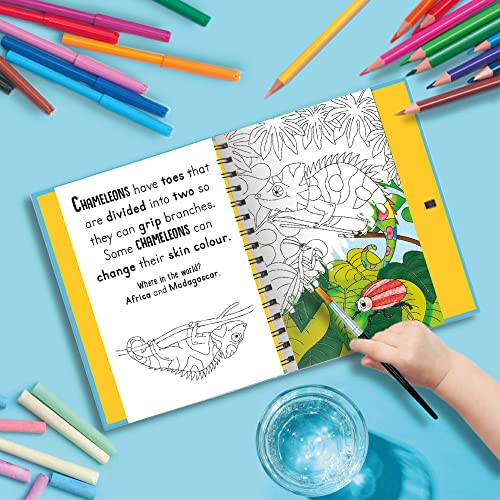 Roars and Claws - Animals (Magic Water Colouring)