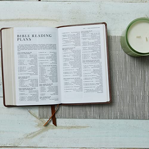 NRSV Catholic Edition Gift Bible, Brown Leathersoft (Comfort Print, Holy Bible, Complete Catholic Bible, NRSV CE): Holy Bible