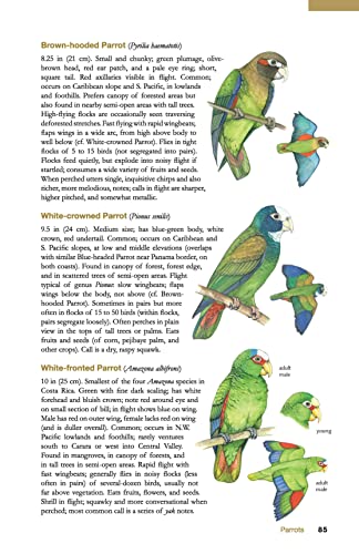 The Wildlife of Costa Rica: A Field Guide (Zona Tropical Publications)