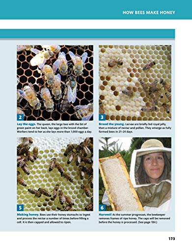 Backyard Homesteading: A Back-to-Basics Guide to Self-Sufficiency (Creative Homeowner) Learn How to Grow Fruits, Vegetables, Nuts & Berries, Raise Chickens, Goats, & Bees, and Make Beer, Wine, & Cider