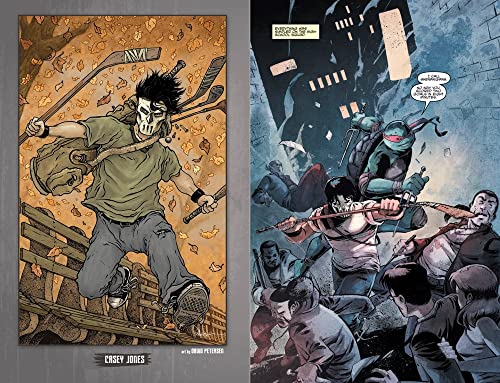 Teenage Mutant Ninja Turtles: The IDW Collection Volume 2 (TMNT IDW Collection)