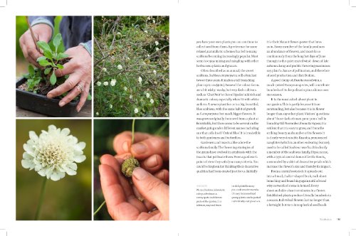 Wild Flowers: Nature's Own to Garden Grown