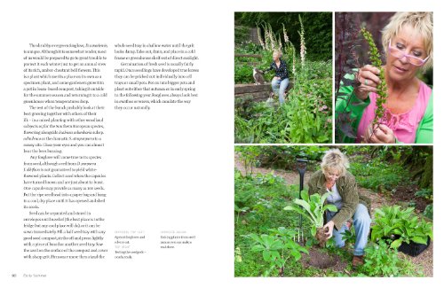 Wild Flowers: Nature's Own to Garden Grown