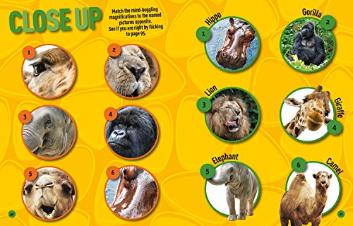 Puzzle Book What in the World: Brain-tickling quizzes, sudokus, crosswords and wordsearches (National Geographic Kids Puzzle Books)