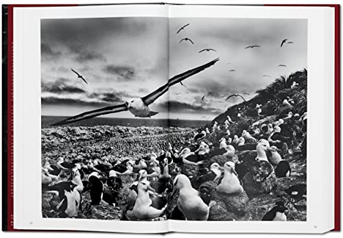 Sebastião Salgado: Genesis