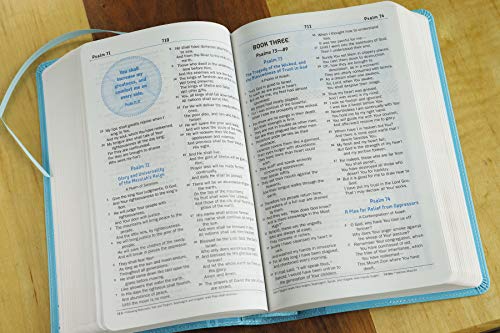 NKJV, Teen Study Bible, Leathersoft, Blue