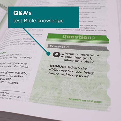 NIV, Teen Study Bible, Compact, Leathersoft, Brown