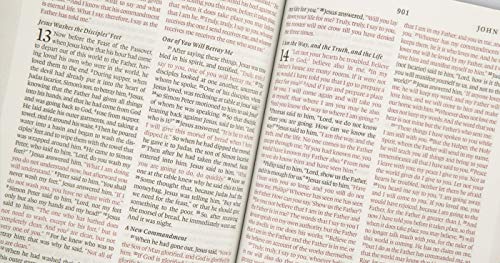 ESV Thinline Bible (TruTone, Chestnut, Wood Panel Design)