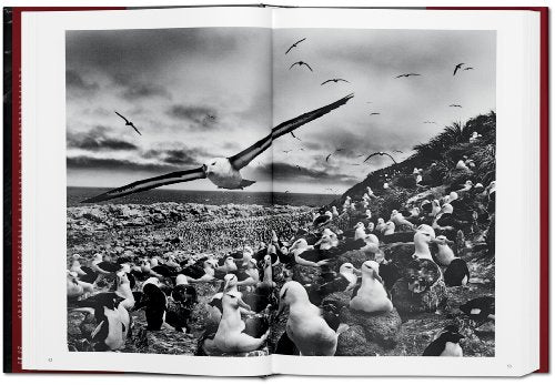 Sebastião Salgado: Genesis