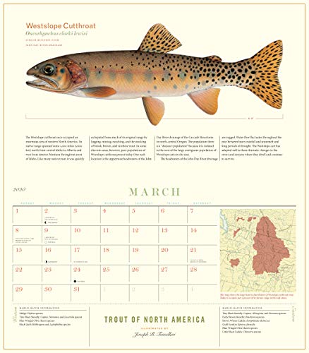 Trout of North America Wall Calendar 2020
