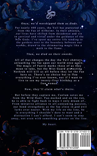 What Lies Beyond the Veil (Of Flesh & Bone Series)