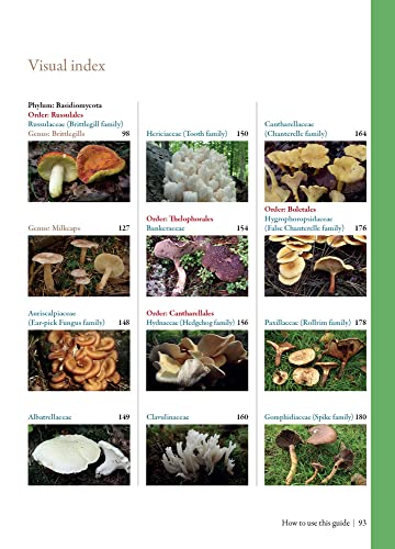 Edible Mushrooms: A forager's guide to the wild fungi of Britain, Ireland and Europe