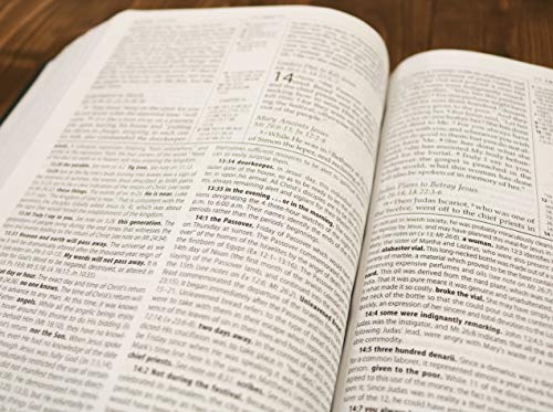 The NASB, MacArthur Study Bible, Large Print, Bonded Leather, Black, Thumb Indexed: Holy Bible, New American Standard Bible