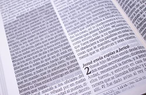 Santa Biblia de Promesas Reina-Valera 1960 / Compacta / Letra Grande / Piel Especial / Floral // Spanish Promise Bible RVR 1960 / Compact / Large Print / Leathersoft / Floral (Spanish Edition)