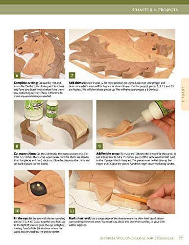 Intarsia Woodworking for Beginners: Skill-Building Lessons for Creating Beautiful Wood Mosaics: 25 Skill-Building Projects (Fox Chapel Publishing) Step-by-Step Instructions, Patterns, Tips & Tricks