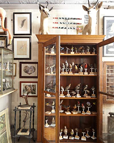 Sean Scherer's Kabinett & Kammer: Creating Authentic Interiors