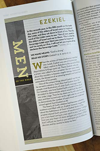 NIV, Bible for Teen Guys, Hardcover: Building Faith, Wisdom and Strength