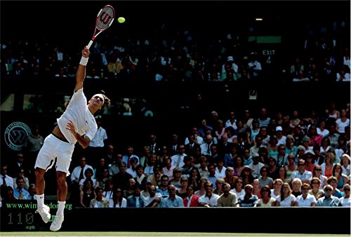 Fedegraphica: A Graphic Biography of the Genius of Roger Federer: Updated edition