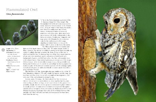 The Complete Book of North American Owls