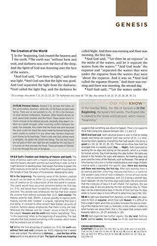 ESV Student Study Bible, Pink/Chocolate, TruTone