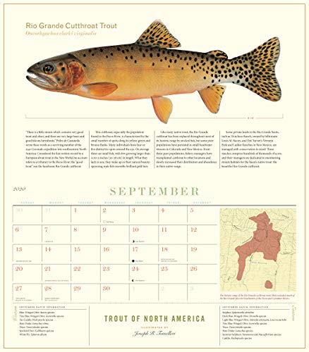 Trout of North America Wall Calendar 2020