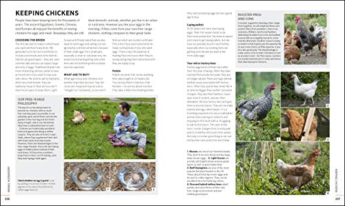 Self-Sufficiency for the 21st Century: The Complete Guide to Sustainable Living Today