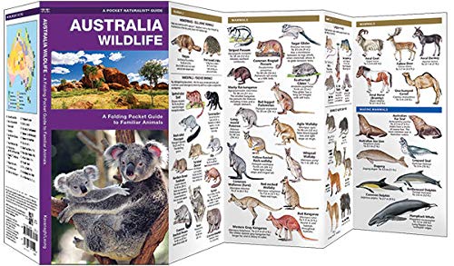Australia Wildlife: A Folding Pocket Guide to Familiar Animals (Wildlife and Nature Identification)