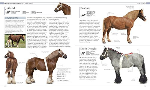 Horse Encyclopedia