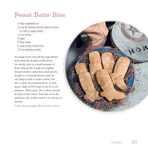 Doggy Desserts: 125 Homemade Treats for Happy, Healthy Dogs (CompanionHouse Books) Easy & Nutritious Canine-Friendly Recipes for Cookies, Bars, Biscotti, Biscuits, Cakes, Muffins, and Frozen Desserts