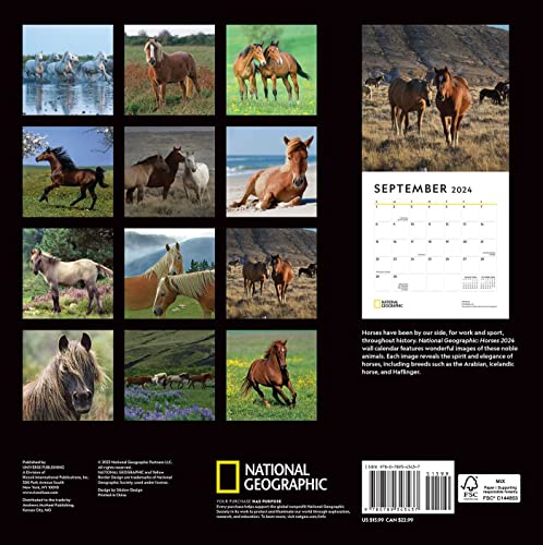National Geographic: Horses 2024 Wall Calendar