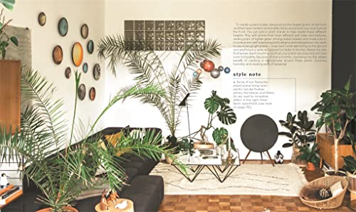 The Leaf Supply Guide to Creating Your Indoor Jungle