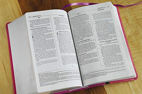 NIV, The Message, Parallel Study Bible, Leathersoft, Pink: Two Bible Versions Together with NIV Study Bible Notes