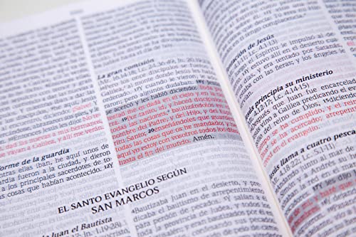 Santa Biblia de Promesas Reina-Valera 1960 / Compacta / Letra Grande / Piel Especial / Floral // Spanish Promise Bible RVR 1960 / Compact / Large Print / Leathersoft / Floral (Spanish Edition)