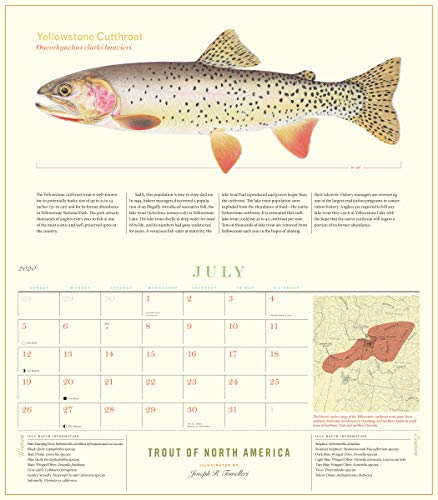 Trout of North America Wall Calendar 2020