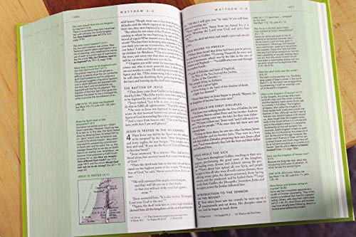 NIV, Quest Study Bible for Teens, Hardcover: The Question and Answer Bible