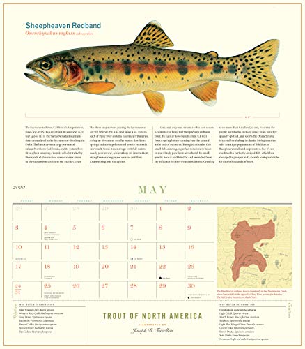 Trout of North America Wall Calendar 2020