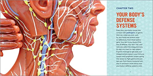 Human Anatomy for Kids: A Junior Scientist's Guide to How We Move, Breathe, and Grow