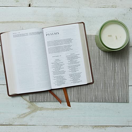 NRSV Catholic Edition Gift Bible, Brown Leathersoft (Comfort Print, Holy Bible, Complete Catholic Bible, NRSV CE): Holy Bible