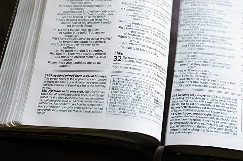 NIV, Foundation Study Bible, Leathersoft, Brown, Red Letter