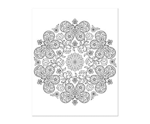 Color & Frame - In the Garden (Adult Coloring Book)