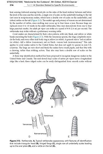 Medicine for the Outdoors