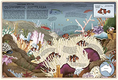 Atlas of Ocean Adventures: A Collection of Natural Wonders, Marine Marvels and Undersea Antics from Across the Globe