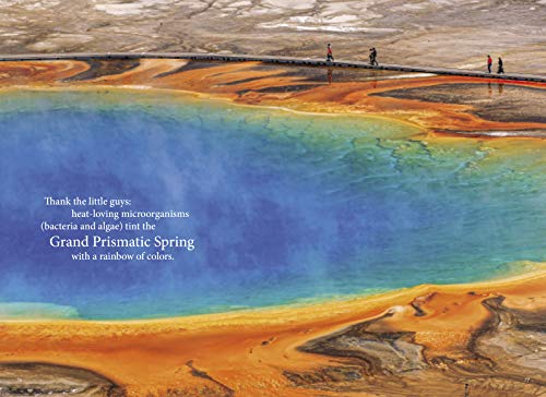 Fodor's Compass American Guides: Yellowstone and Grand Teton National Parks (Full-color Travel Guide)