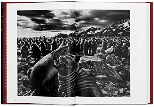 Sebastião Salgado: Genesis