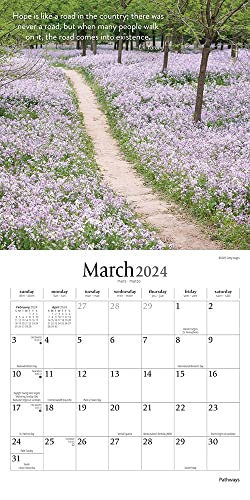 Pathways | 2024 7 x 14 Inch Monthly Mini Wall Calendar | Brush Dance | Photography Journey Scenic Nature