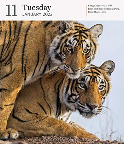 Audubon Nature Page-A-Day Gallery Calendar 2022: A wilderness escape every single day