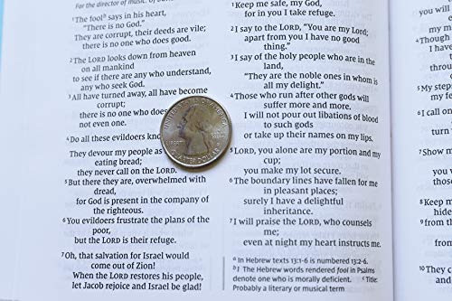 NIV, Value Thinline Bible, Leathersoft, Teal, Comfort Print