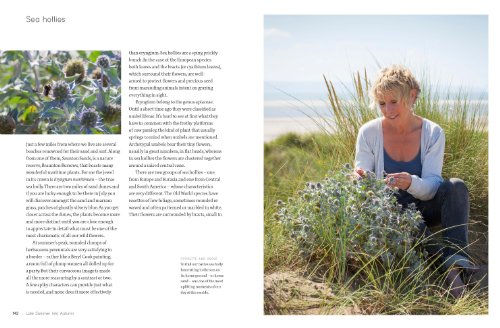 Wild Flowers: Nature's Own to Garden Grown