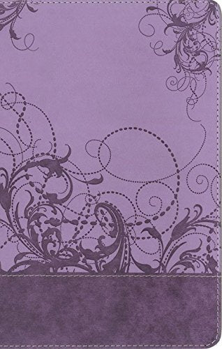 NIV, Teen Study Bible, Leathersoft, Purple